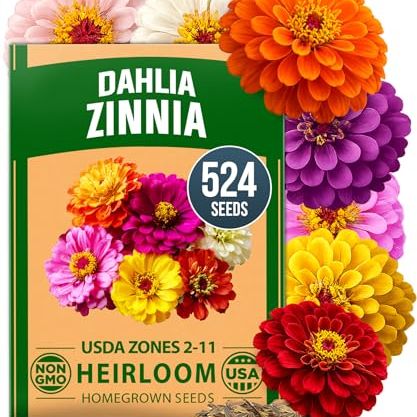 Home Grown Zinnia Dahlia Seeds Pack for 2026 Non Gmo 524 Flower Seeds | Vibrant Zinnia Elegans for Pollinator Gardens, Borders &amp;amp; Containers | Easy-To-Grow Outdoor Blooms