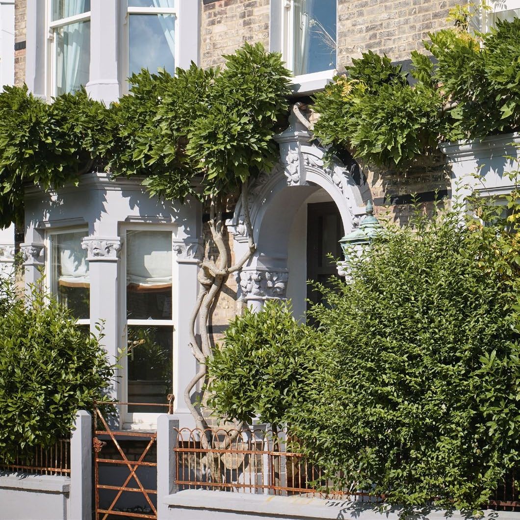Exterior of a double-fronted wisteria clad Victorian London terraced house