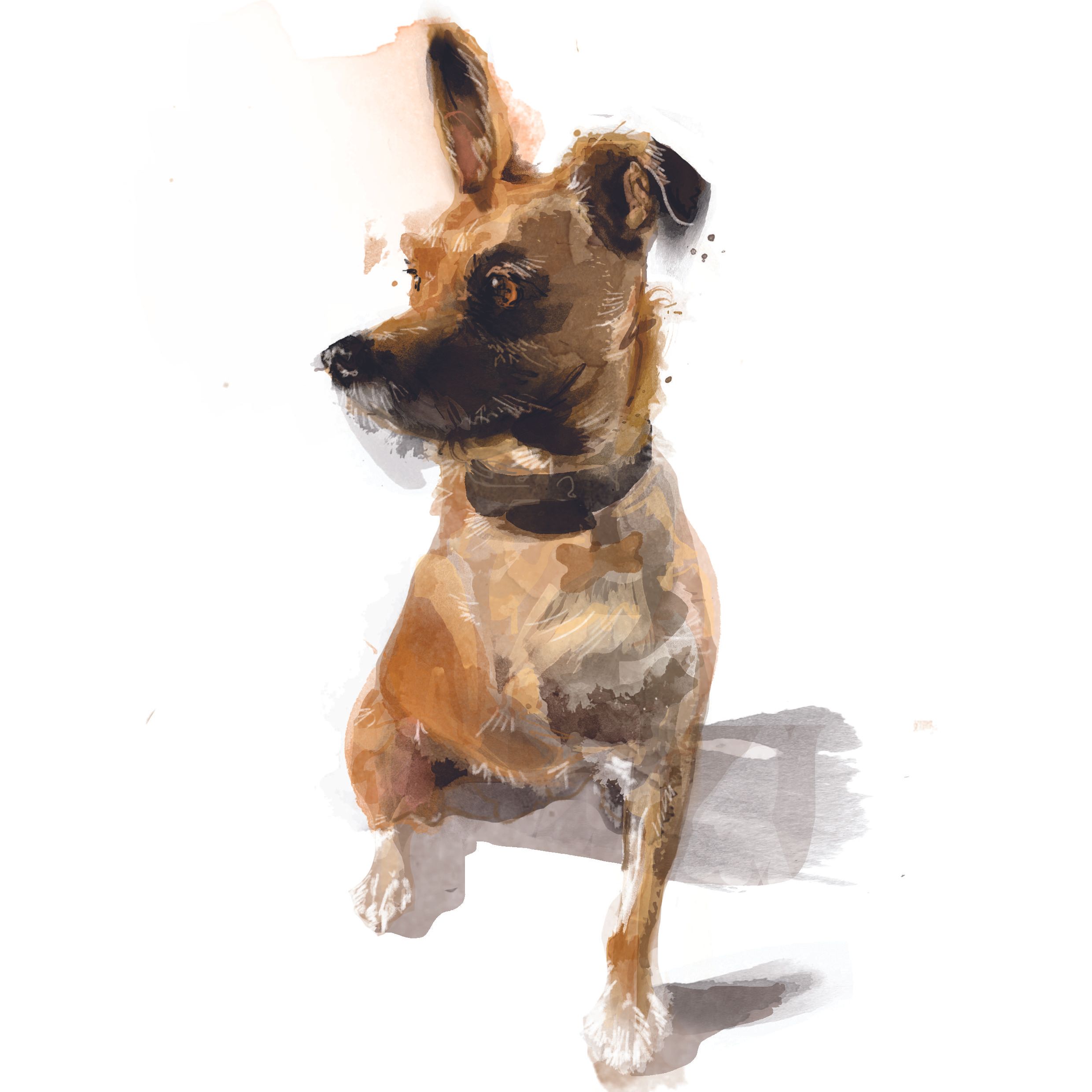 Rankin's favourite things