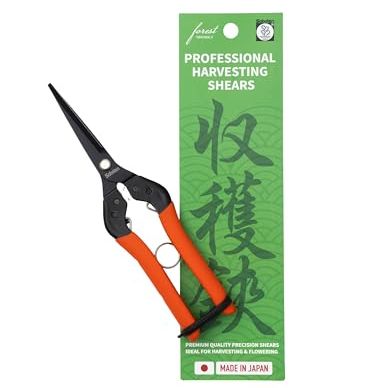 Saboten 7.9" Professional Japanese Harvesting Shears &amp;ndash; Straight Blade, Stainless Steel With Fluorine Coating, Spring-Loaded, Ergonomic Grip &amp;ndash; Forest Originals, Made in Japan
