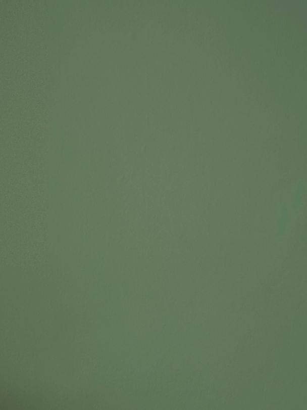 Benjamin Moore webster green on a wall in a living room with a velvet, mustard arm chair
