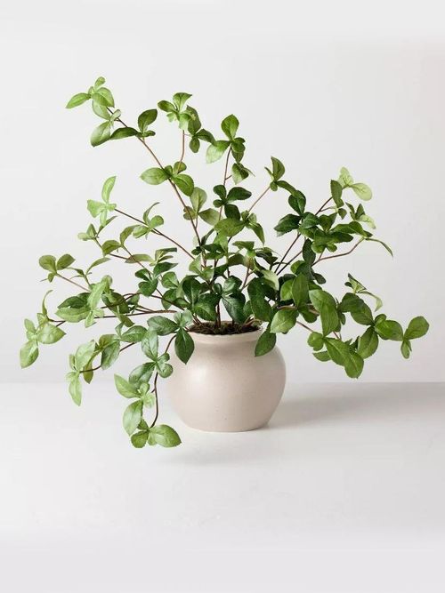 Gypsophila Artificial Plant &ndash; Hearth & Hand With Magnolia