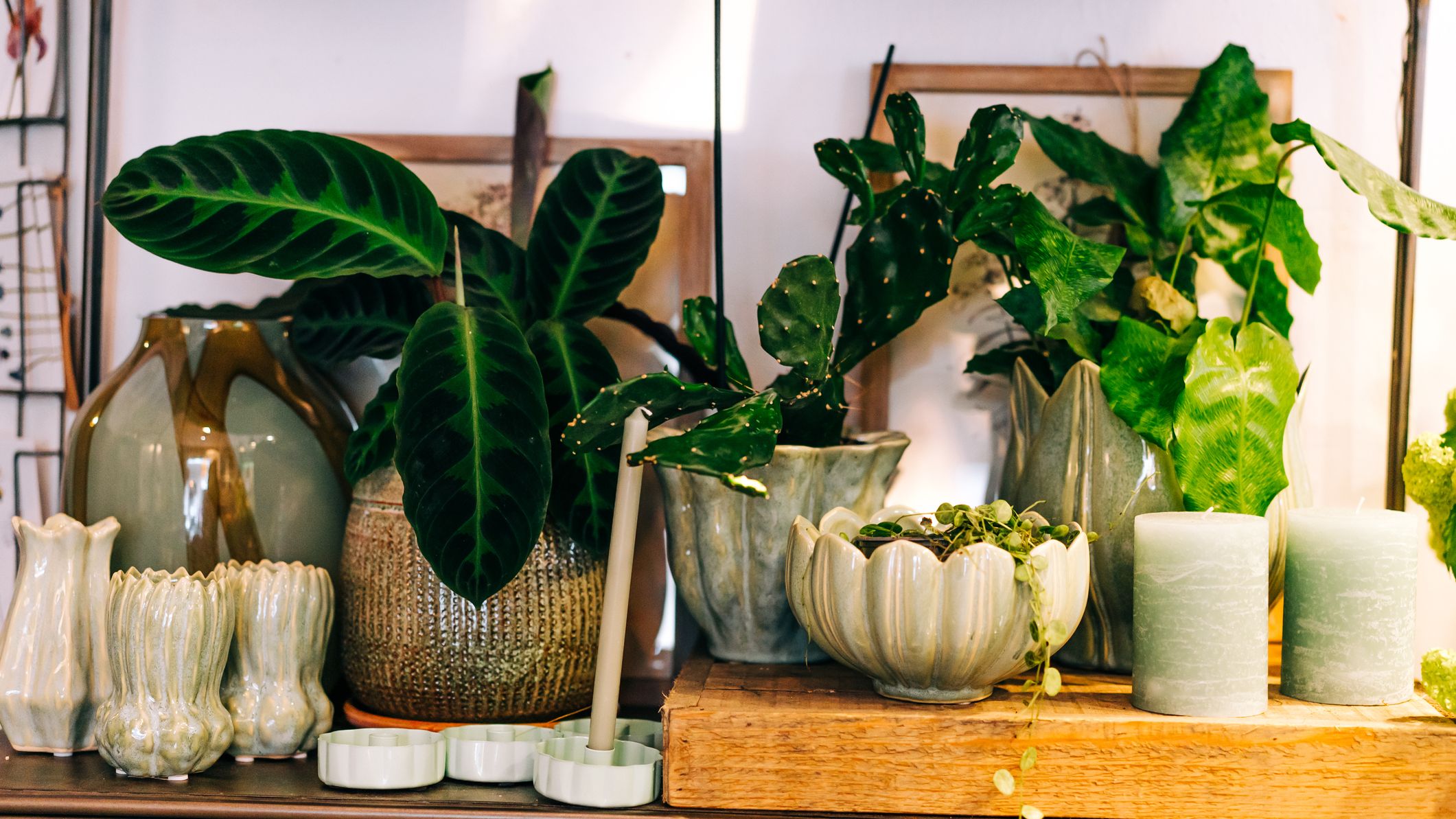 A display of artisan ceramic planters in mint, beige, and ochre tones with lush tropical houseplants arranged on a metal shelf