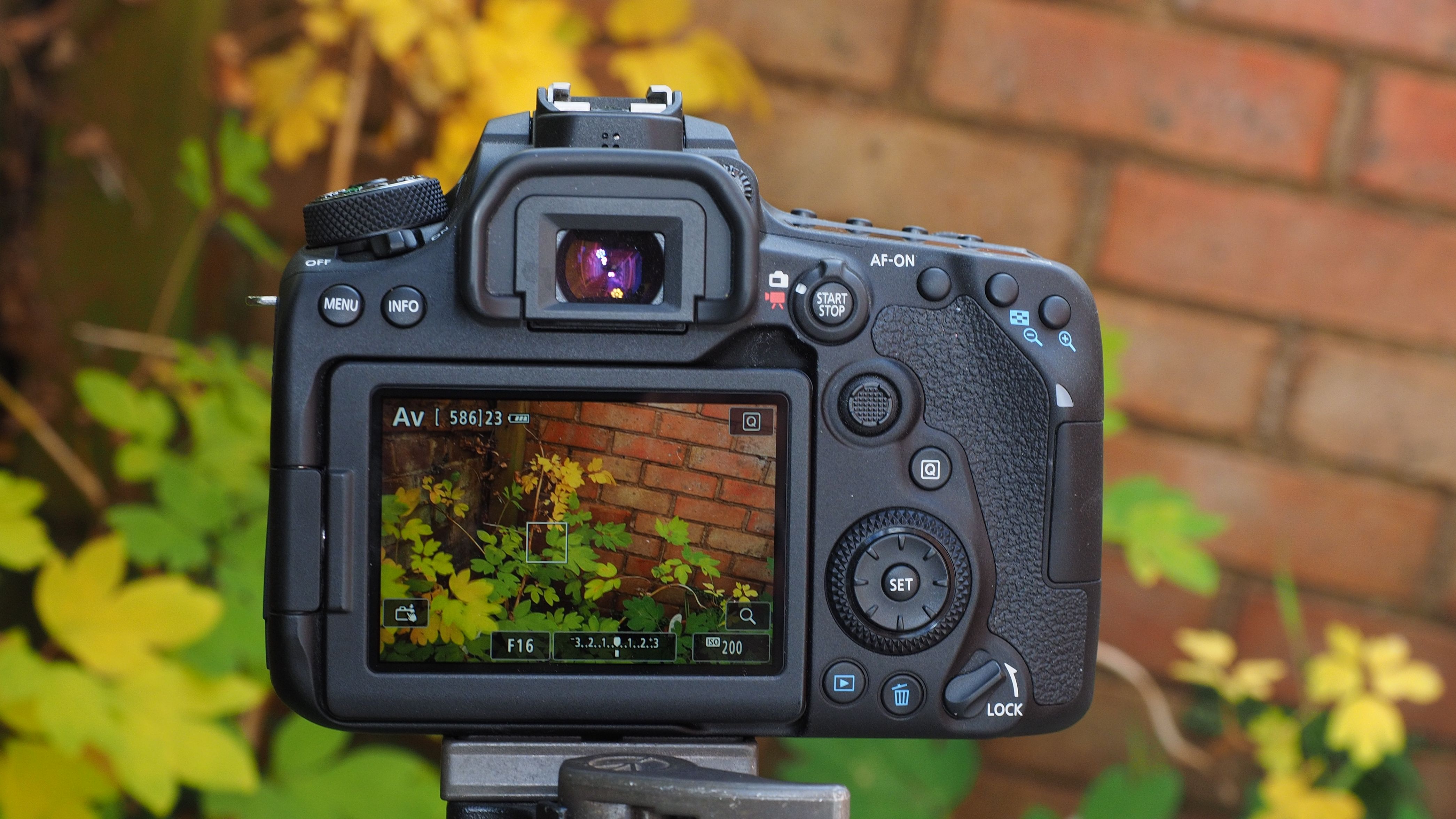 Canon EOS 90D review