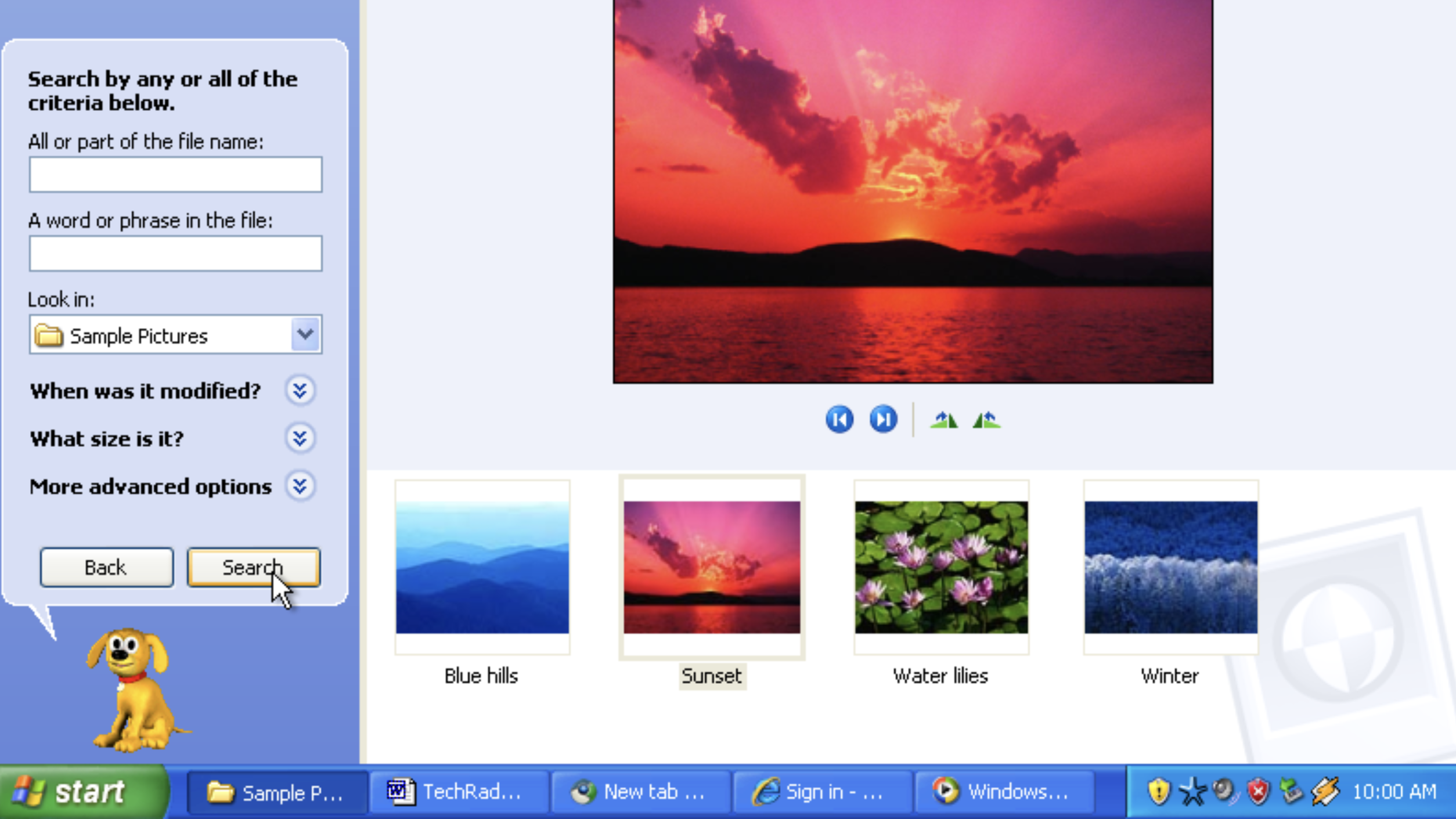 Screenshots of Windows XP running in 2026