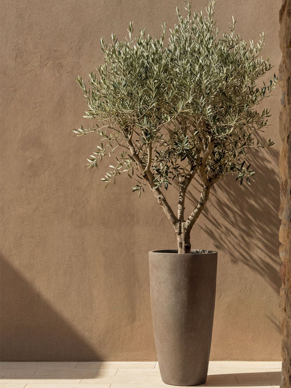 Paige Outdoor Cement Planter