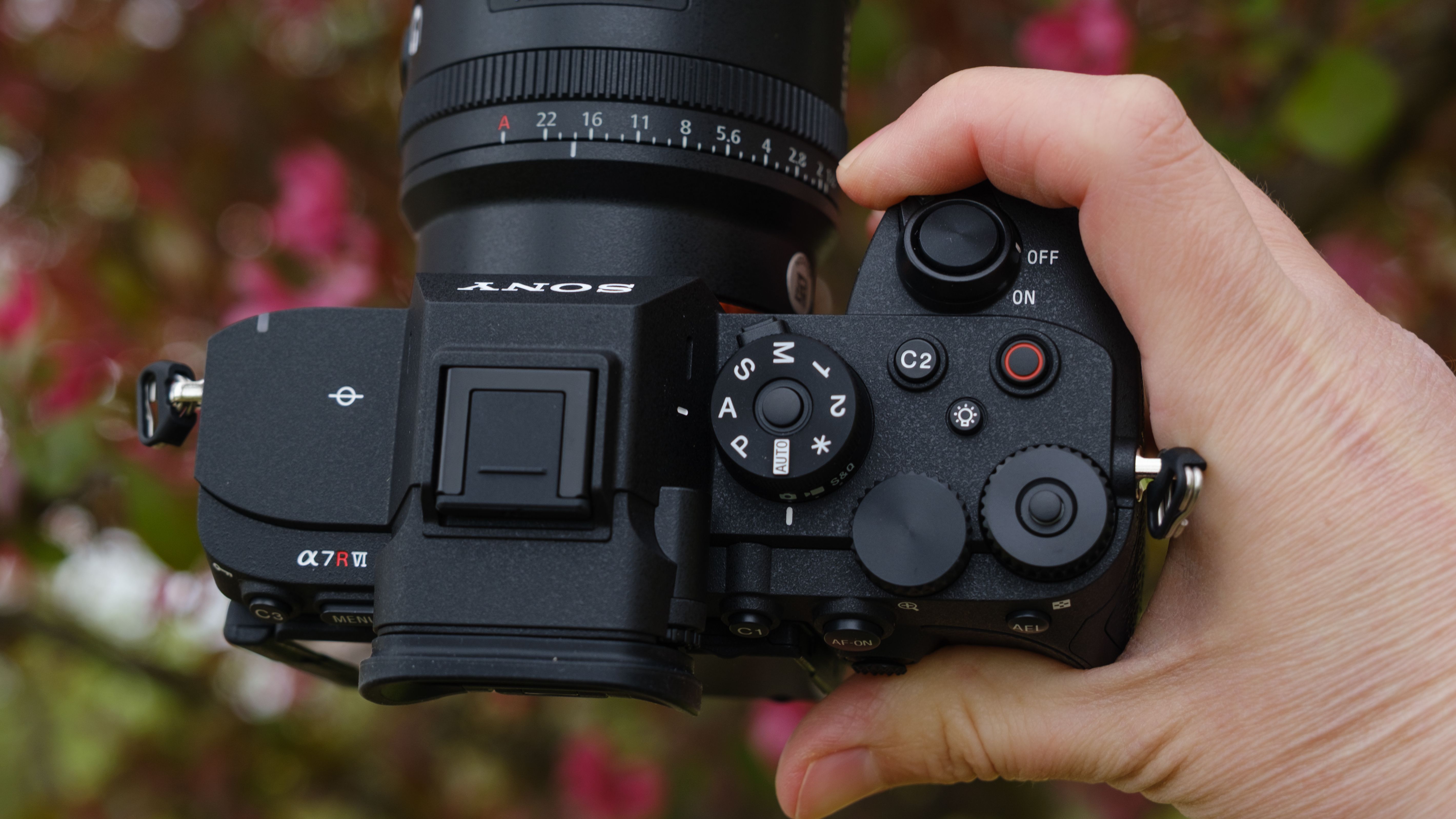 The Sony A7R VI photographed outdoors