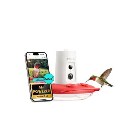 Birdfy Smart Hummingbird Feeder
