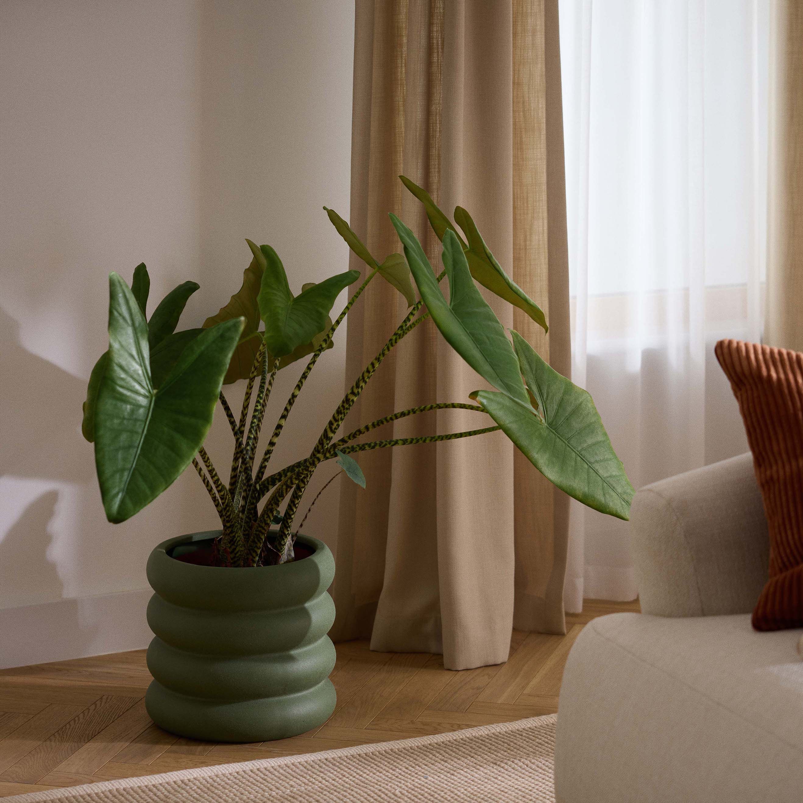 Planter Rudi, H 30 Cm