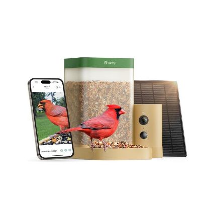 Birdfy Smart Bird Feeder for Beginners