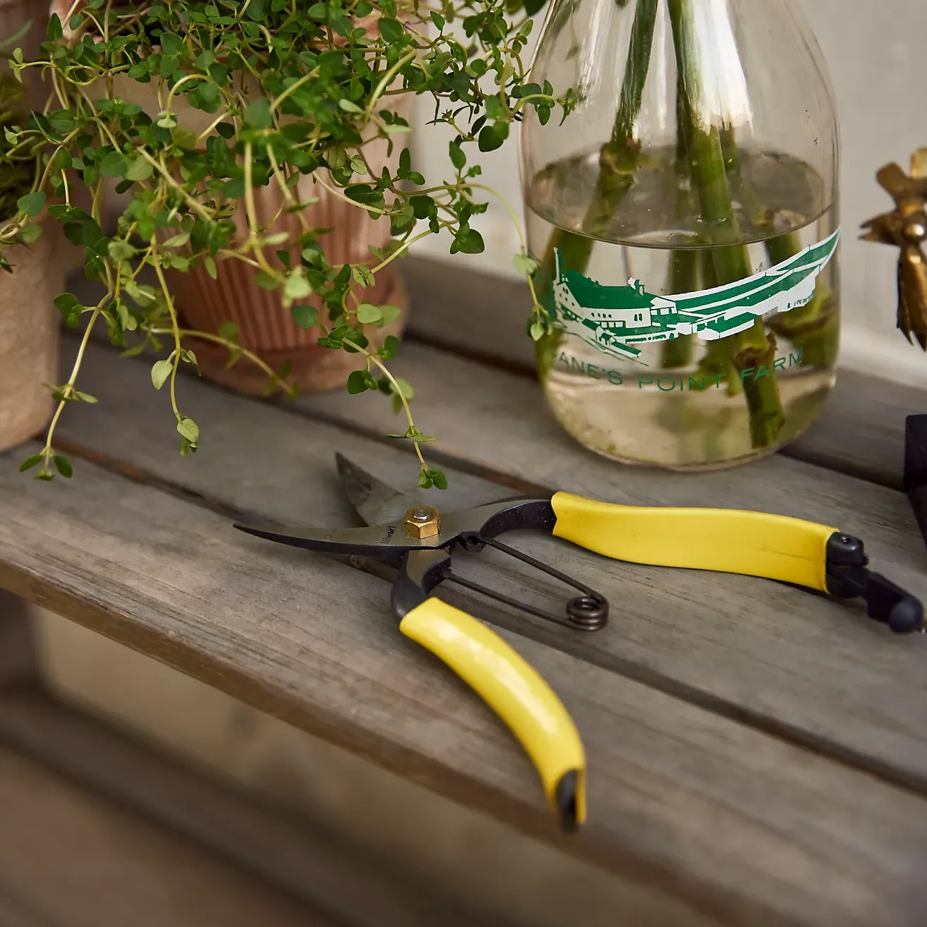 Niwaki Lightweight Hybrid Snips