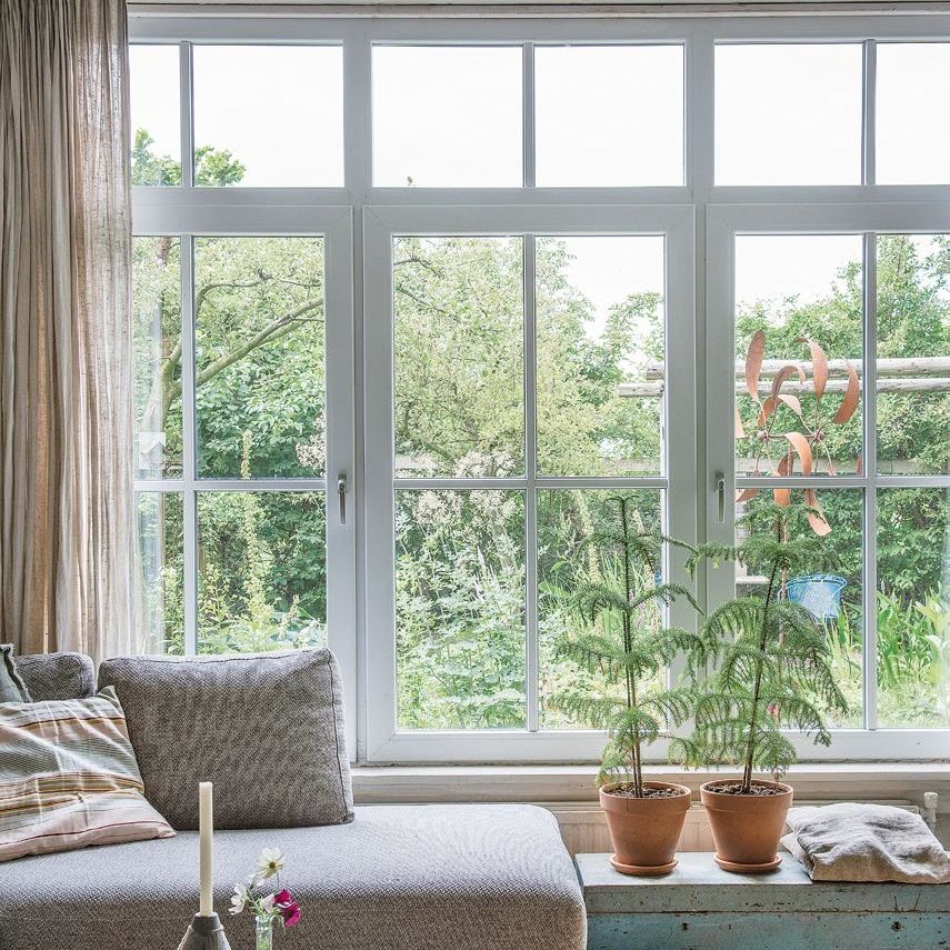 View of a garden through large windows behind a contemporary modular sofa