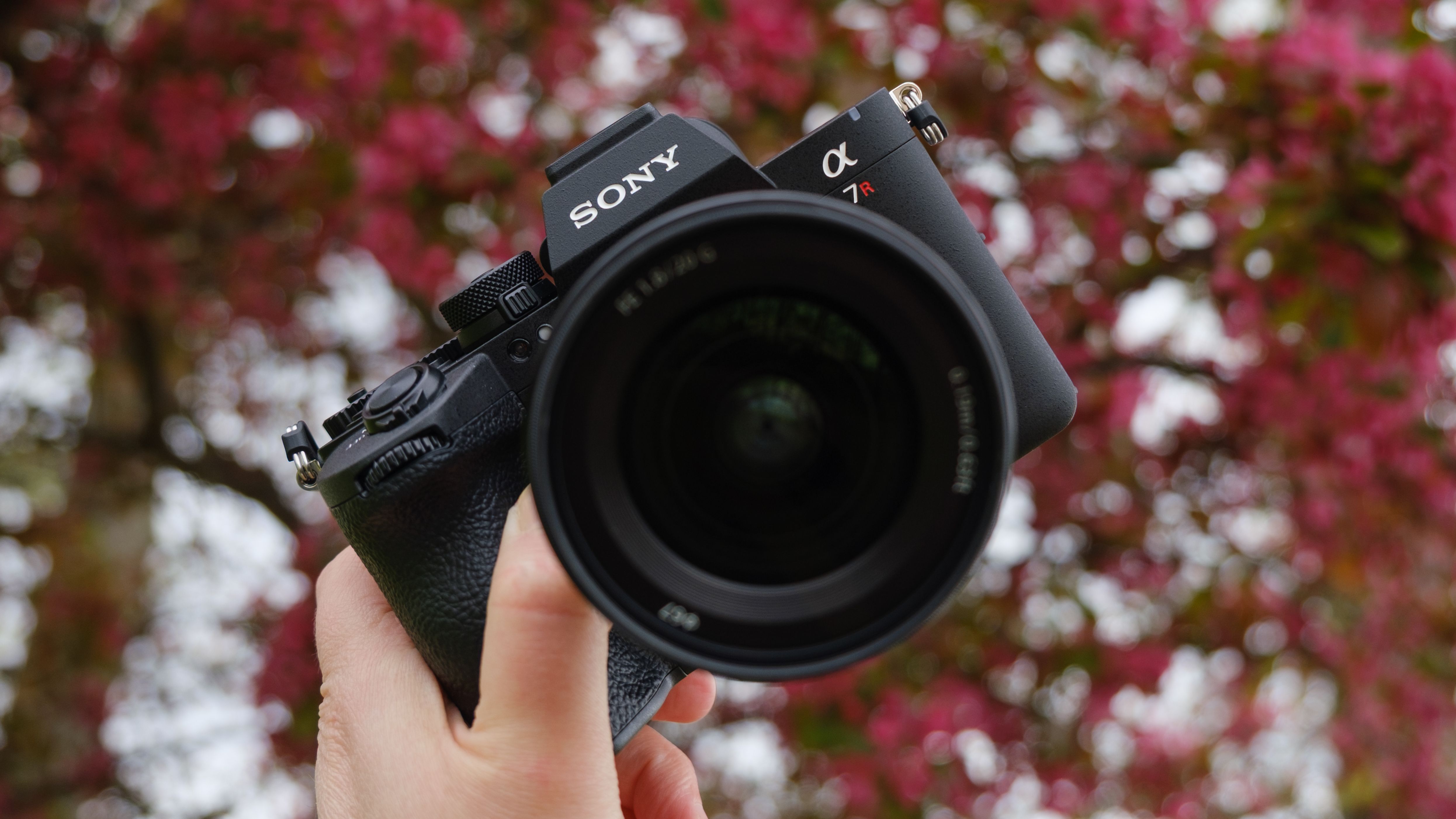 The Sony A7R VI photographed outdoors