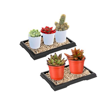 Pebble Humidity Trays