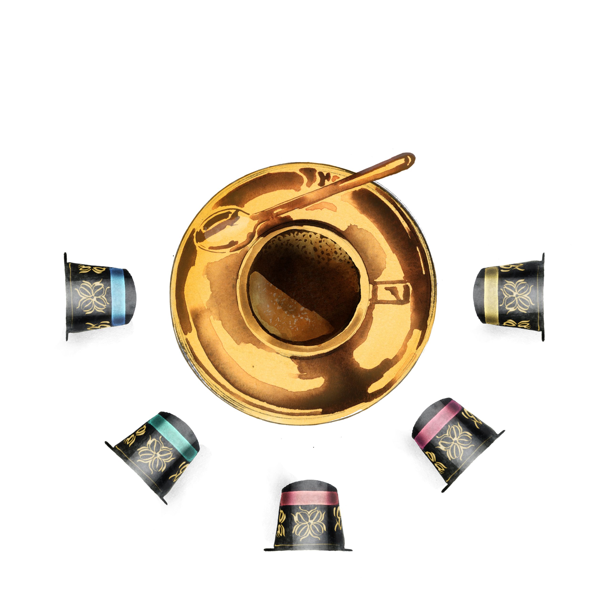 James Haskell's favourite things illustrations