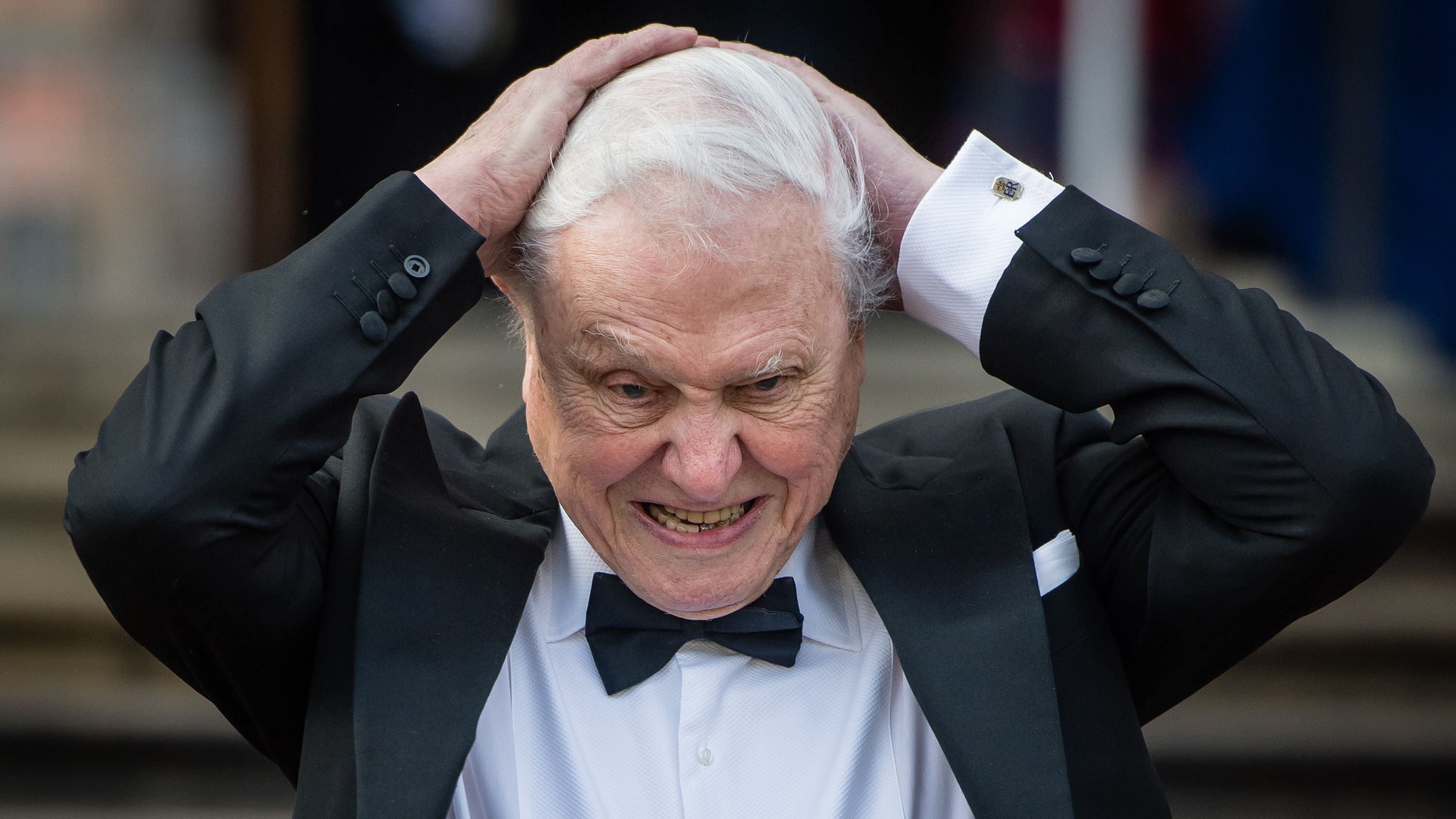 LONDON, ENGLAND - APRIL 04: Sir David Attenborough attend sthe "Our Planet" global premiere at Natural History Museum on April 04, 2019 in London, England. (Photo by Samir Hussein/Samir Hussein/WireImage)