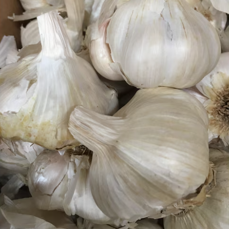 California Jumbo garlic