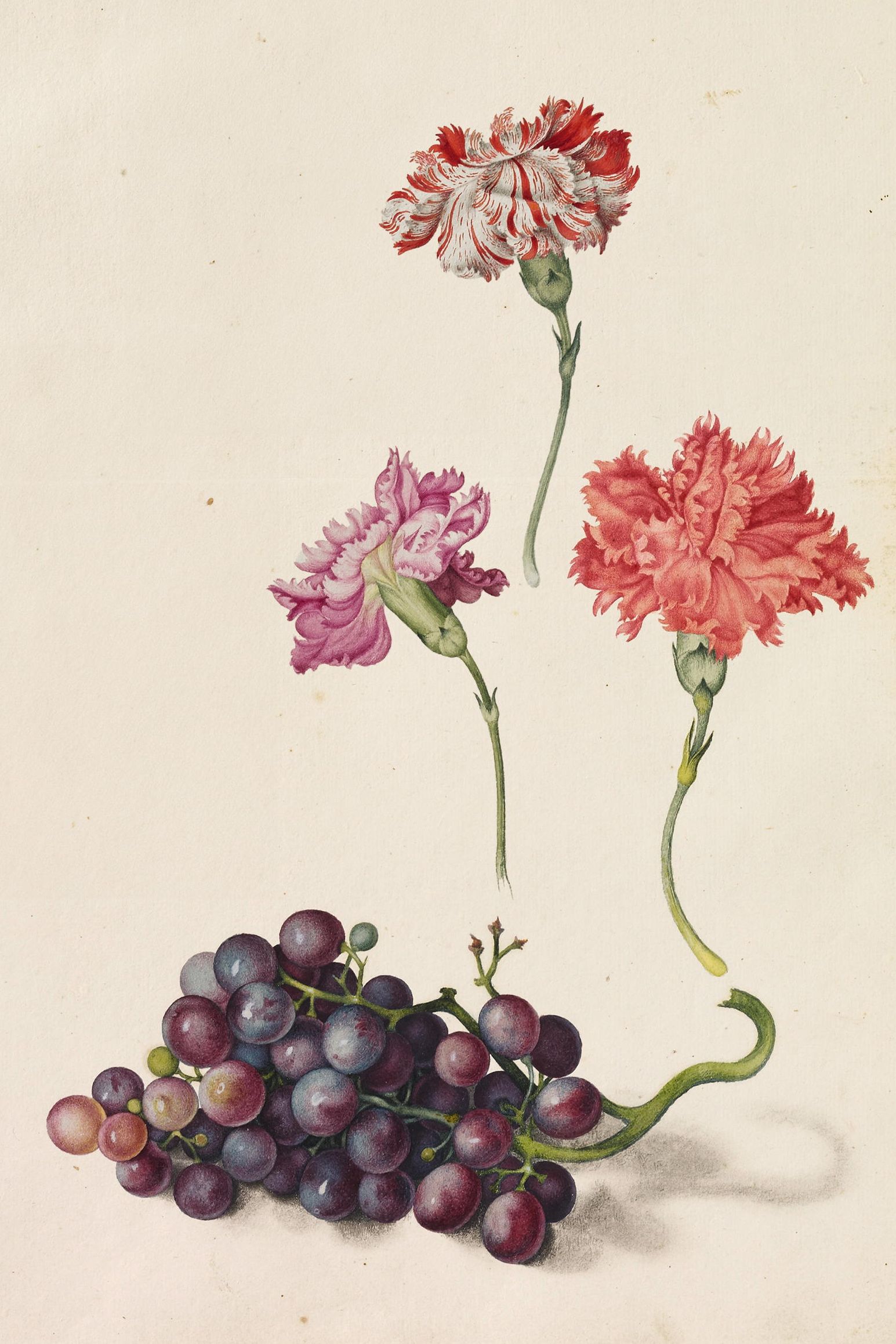 Paintings of Alexander Marshal