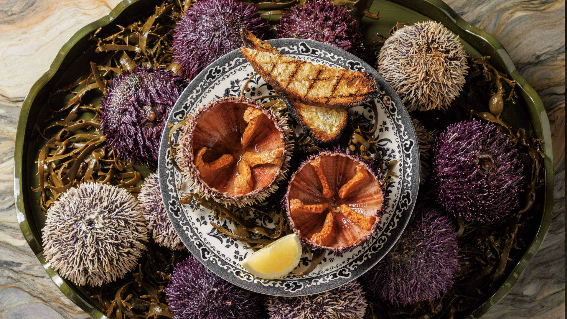 an image of some of the seafood dished up at Clio