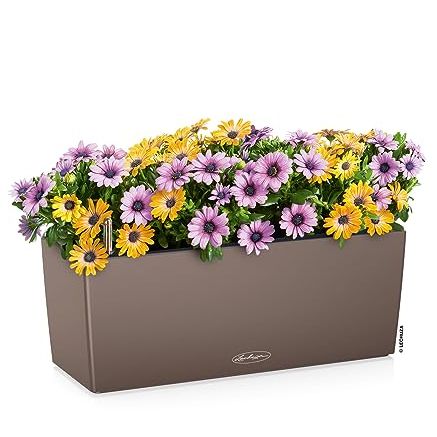 Lechuza Balconera Color 50 Nutmeg, Self-Watering Window Box (railing Planter), H7.5 L19.7 W7.5 in