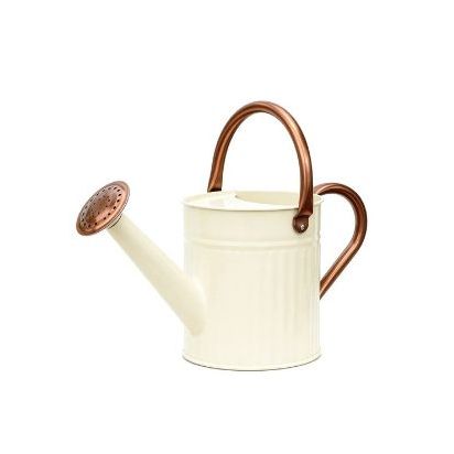 Wayfair metal watering can