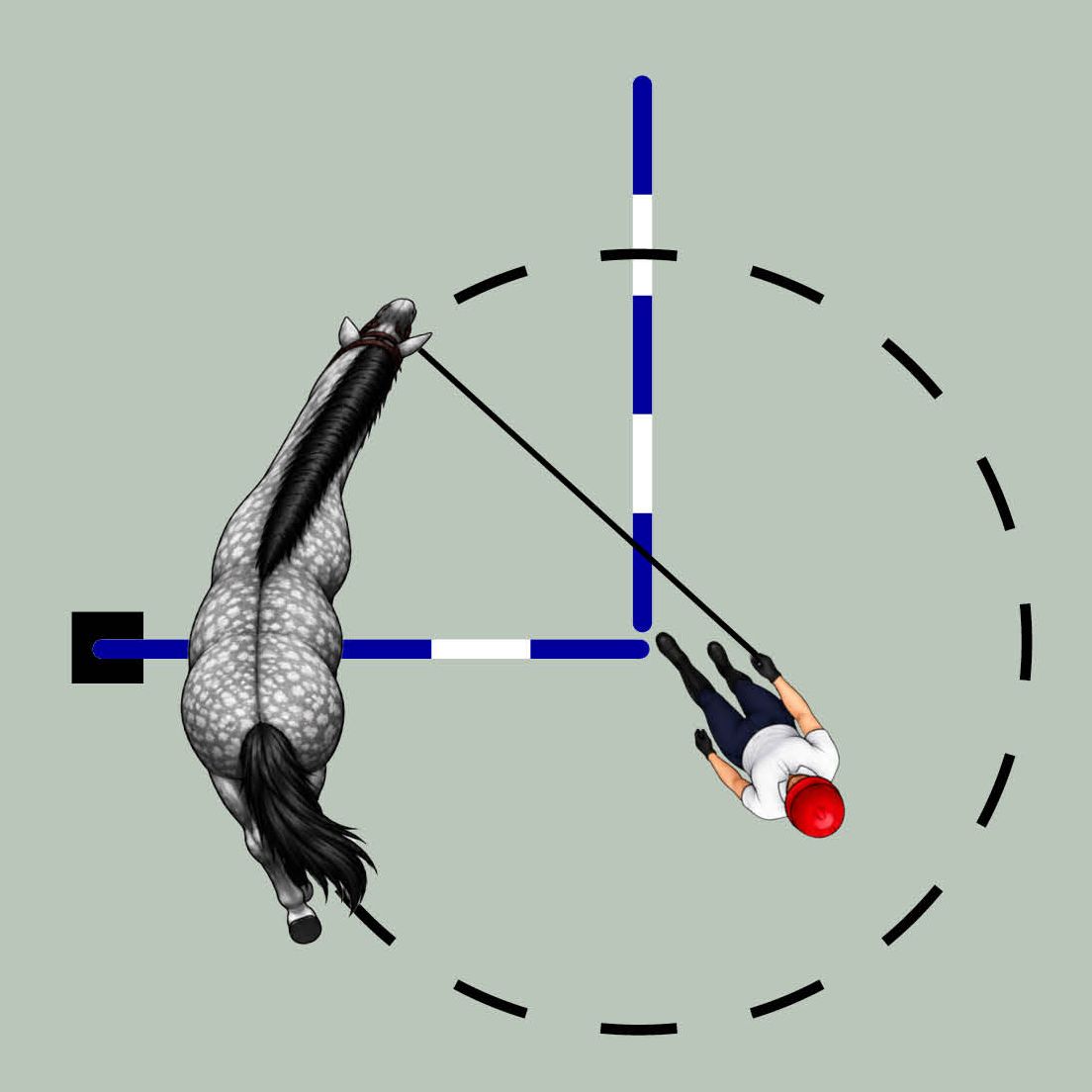 Three groundwork training exercises for horses in a diagram