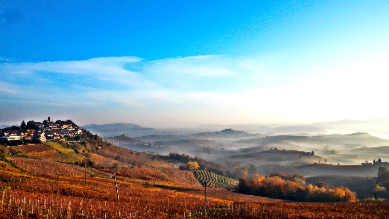 Pelaverga Verduno: Piedmont's hidden treasure | Decanter