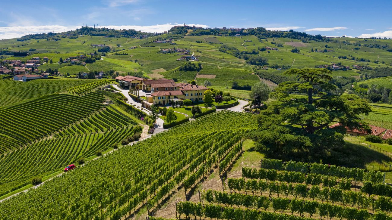 Barolo 2017 vintage report: 120 wines tasted | Decanter