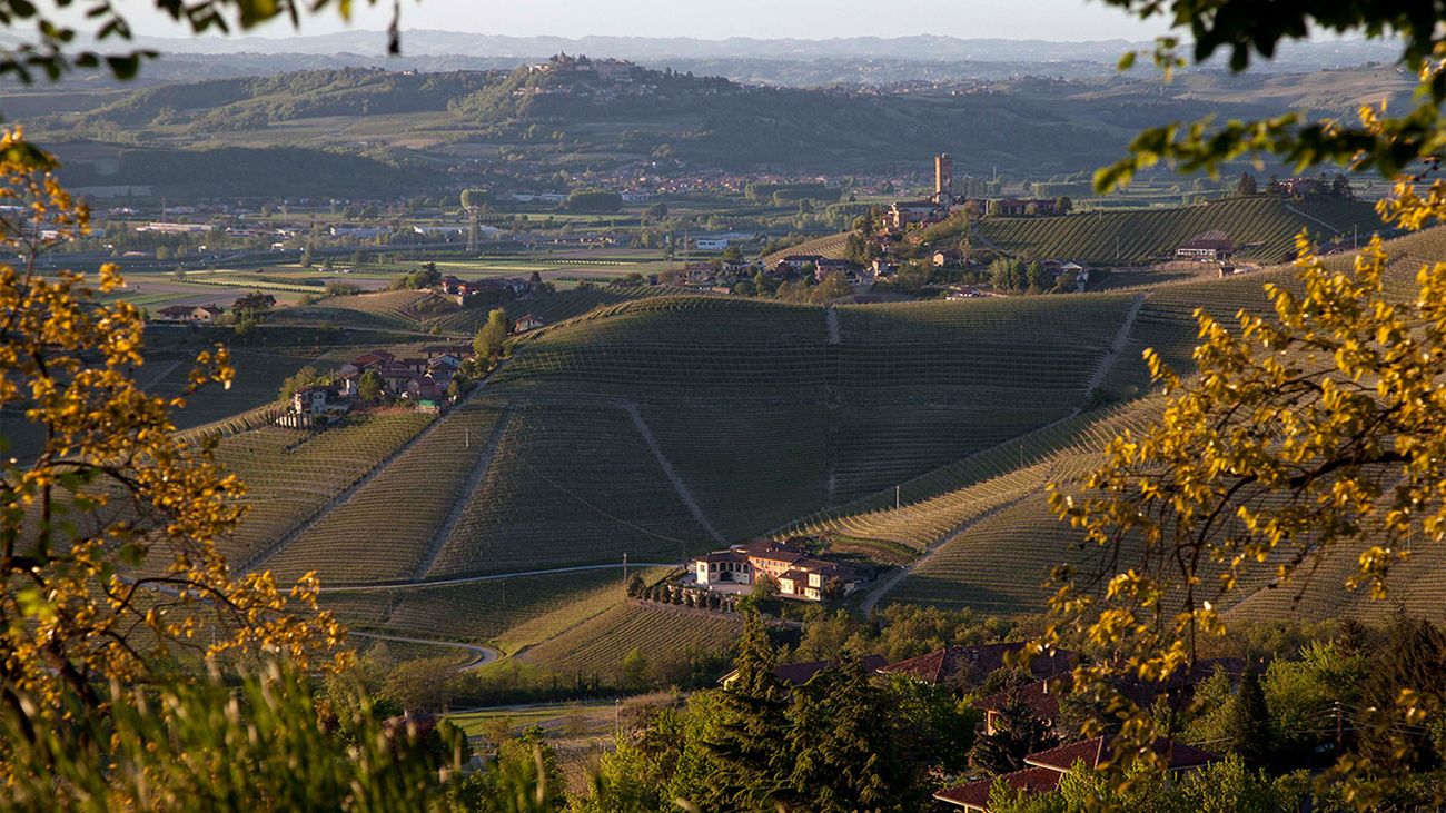 Barbaresco Riserva 2018: Vintage report and 11 recommendations