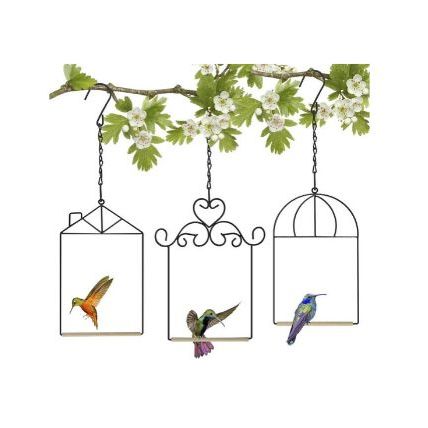 Hummingbird Swings 