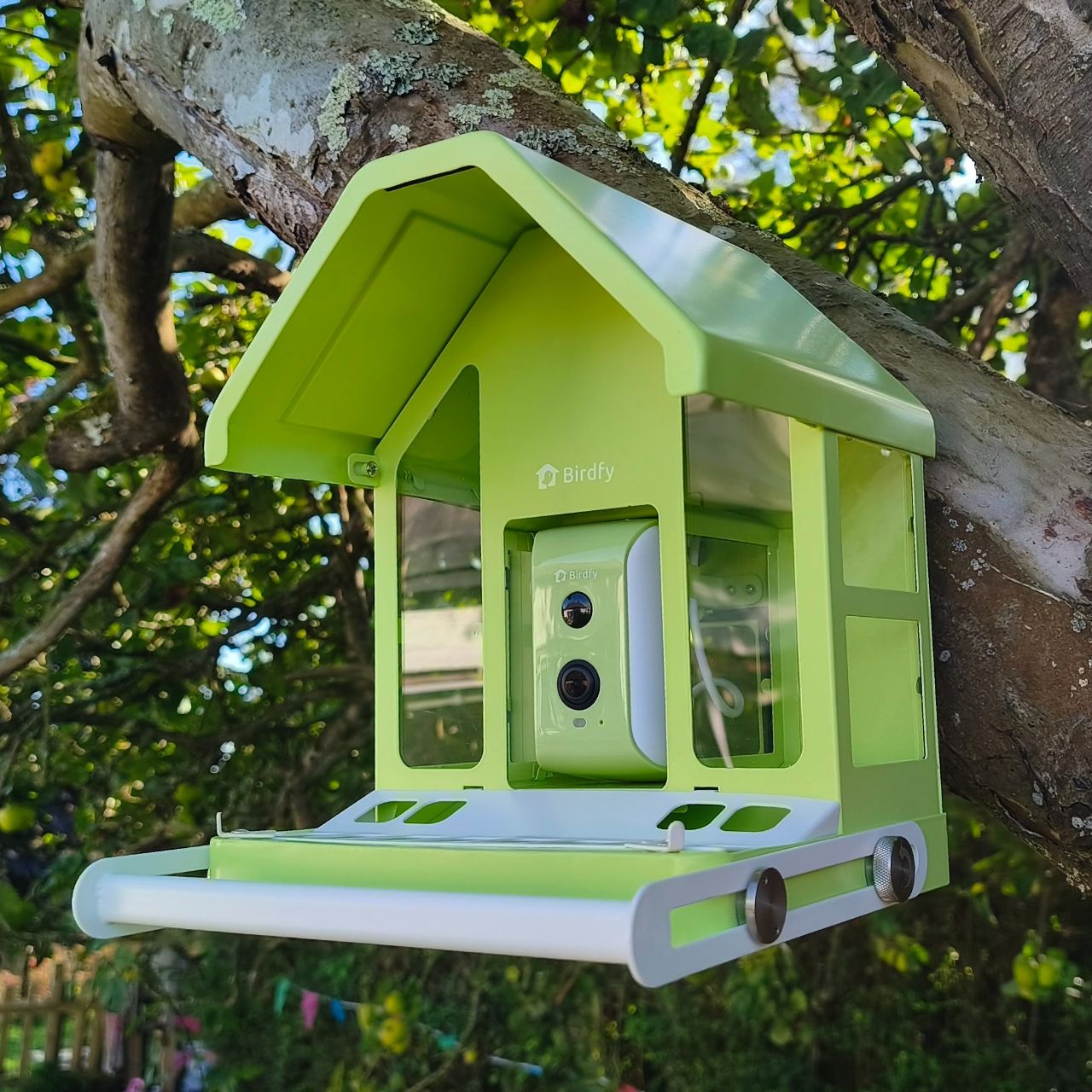 Birdfy Feeder Metal