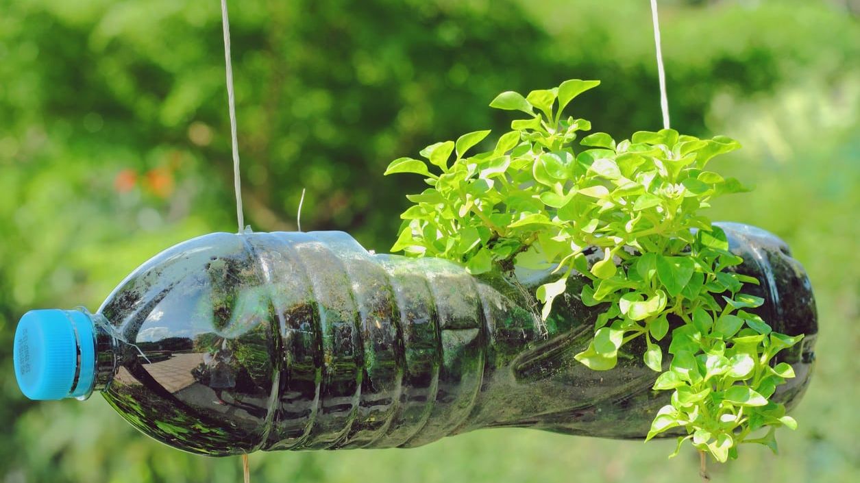 Gardening With Old Bottles: Ideas For Reusing Bottles In The Garden |  Gardening Know How, image size:1255x705