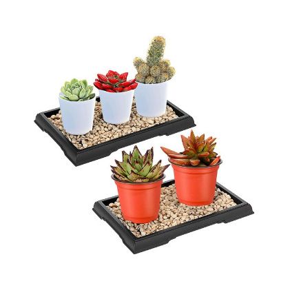 Pebble Humidity Tray 