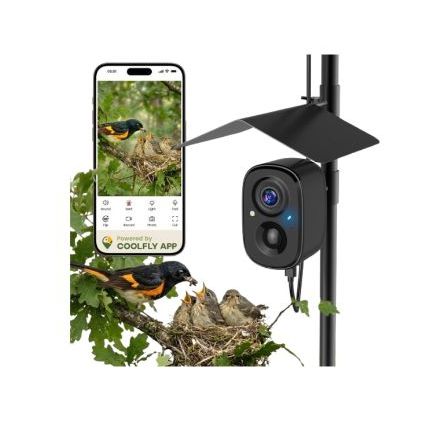 Camera for Bird Feeder