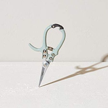 Modern Sprout Pruning Shears, Herb Snipping Scissors, Lightweight Gardening Tools W/easy Lock, Flower Cutter Garden Shears, Carbon Steel Blade + Reusable Holster (green, 1-Pack)