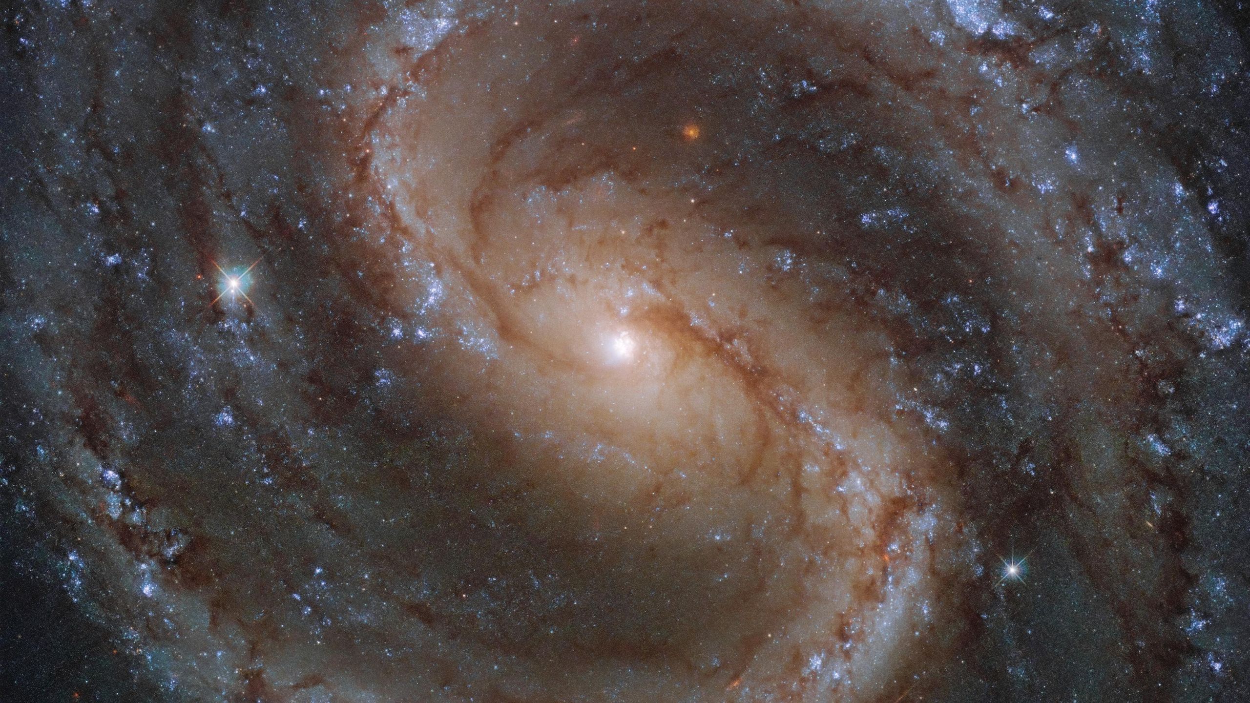 Astroma Galaxia Perdida
