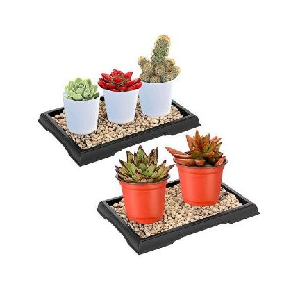 Amazon pebble humidity tray