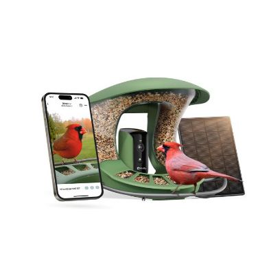 Birdfy Smart Bird Feeder 2