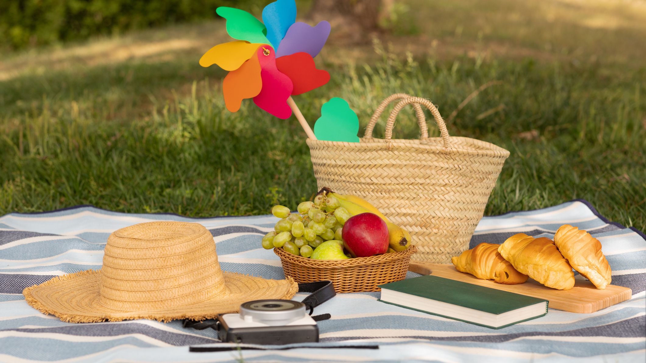 colorful family picnic on a grassy lawn with basket, hat, and pinwheel