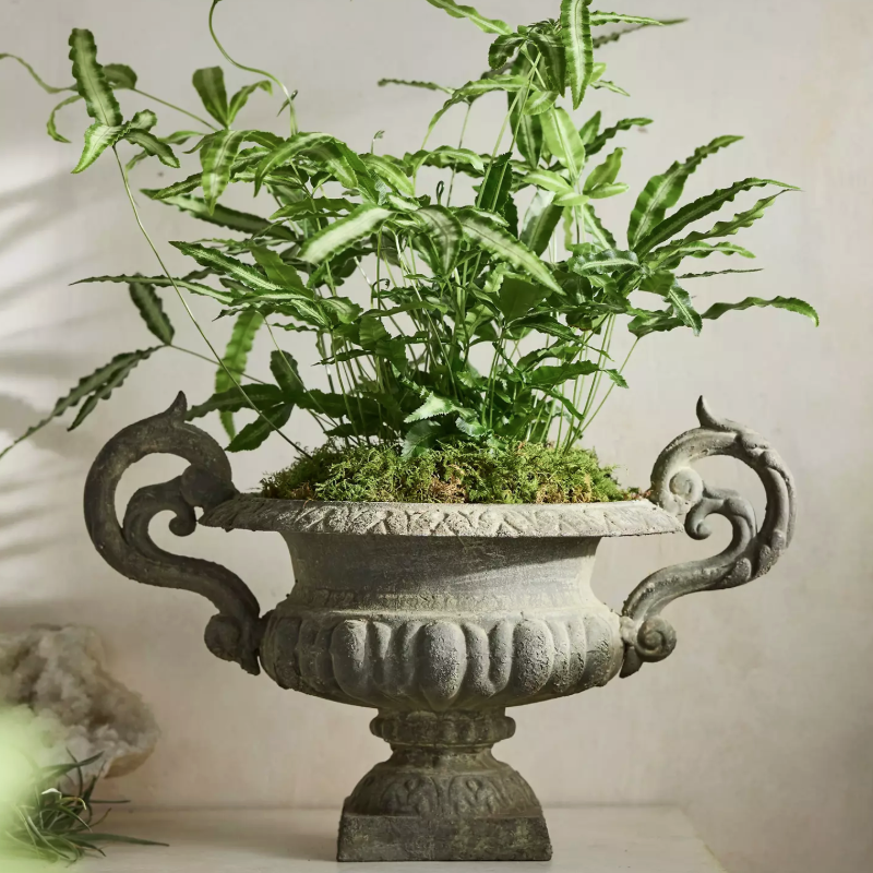 Cast Iron Handled Urn
