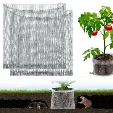 Tripumer 8 Pcs 3 Gallon Stainless Steel Root Guard Baskets Vole Gopher Plant Protectors for Spring Planting Berries Vegetables