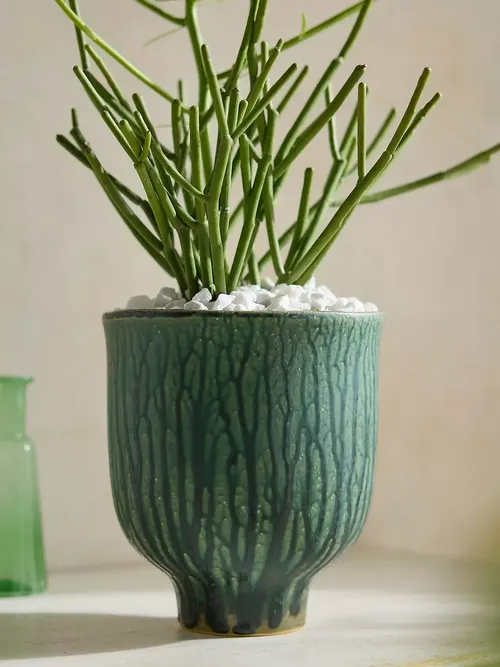 Drippy Ceramic Tulip Planter
