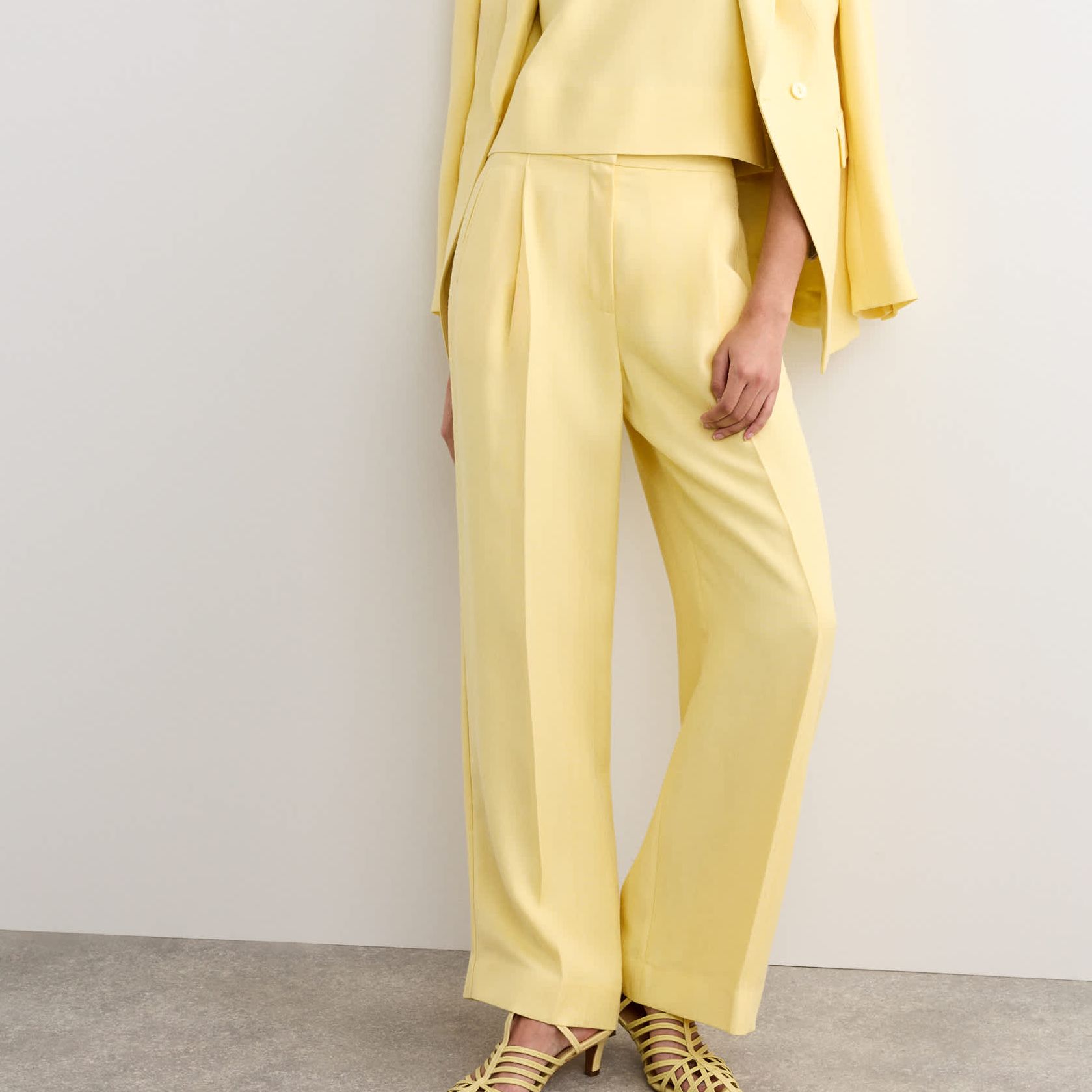 Pleat Front Wide Leg Trousers
