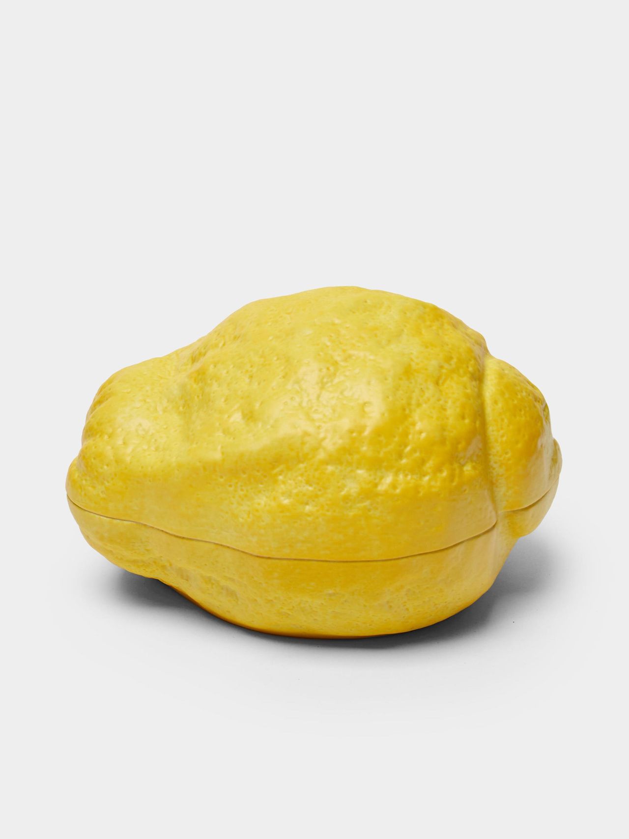 Hand-Painted Porcelain Lemon Dish