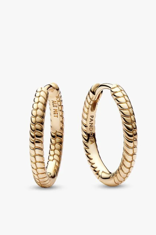 Pandora, Pandora Moments Small Charm Hoop Earrings