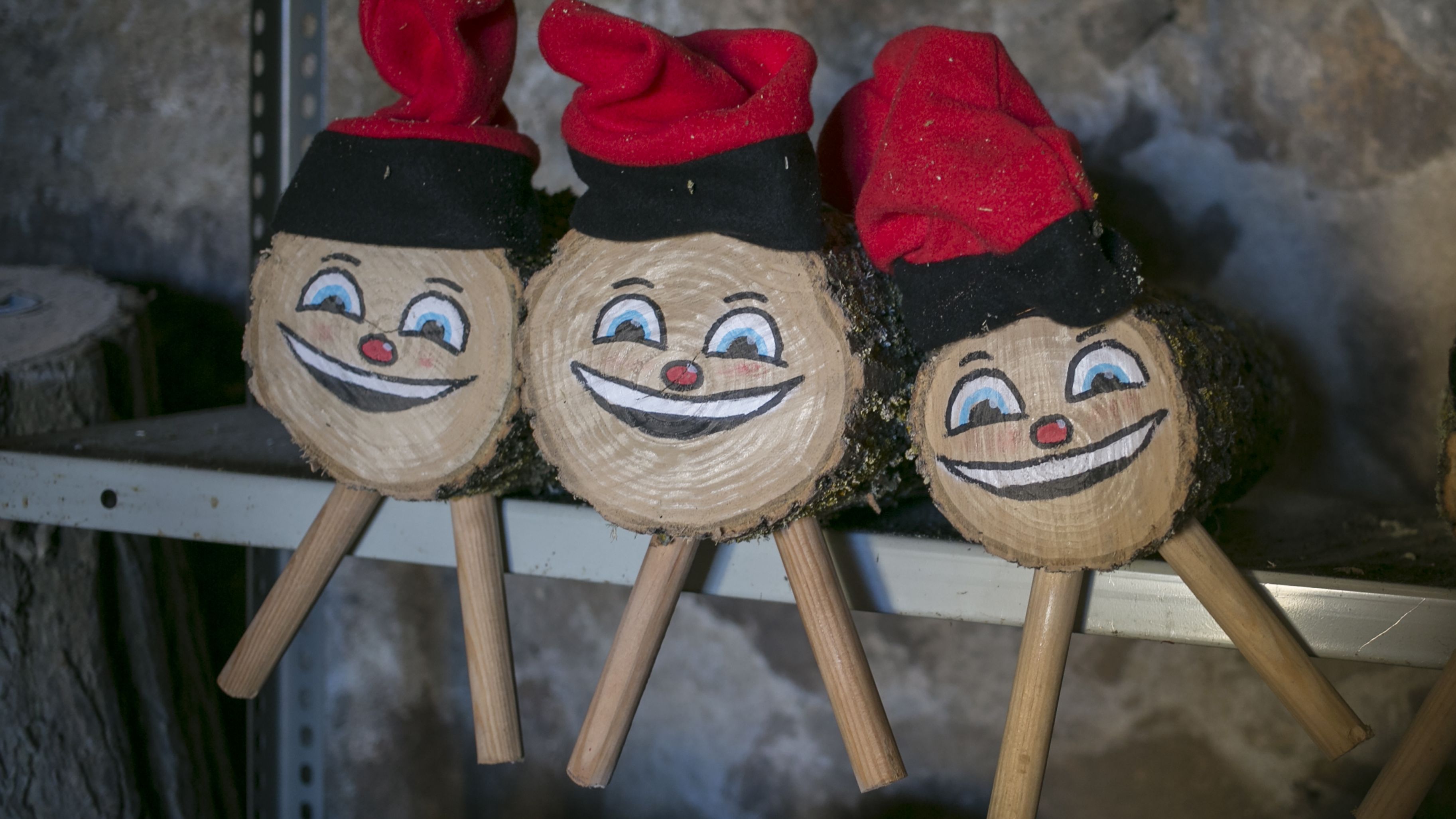 ESPINELVES, SPAIN - NOVEMBER 20: Nadal's ti&amp;oacute;, a term in Catalan, is an element of the Catalan Christmas tradition. It consists of a log that the children feed so that on Christmas day they offer gifts on November 20, 2020 in Espinelves, Spain. The town of Espinelves is the main center for the production and sale of firs as ornamental trees in Catalonia. Annually a fair is held to which thousands of people come to buy their Christmas fir but due to the health crisis due to the coronavirus this 2020 it has been suspended. Abies nordmanniana is the most widely cultivated spruce species. It is native to the Caucasus and Asia Minor. It occupies altitudes between 900-2,000 m. One of its characteristics is that its leaves do not puncture, that is why this species of fir is highly appreciated to have at home as a decoration. The Masjoan nursery has cultivated and sold Christmas firs for more than 50 years, being one of the pioneers of the area in this business. (Photo by Manuel Medir/Getty Images)