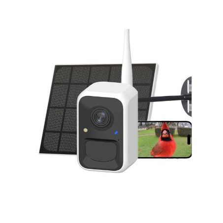 Birdfy Bird Camera 