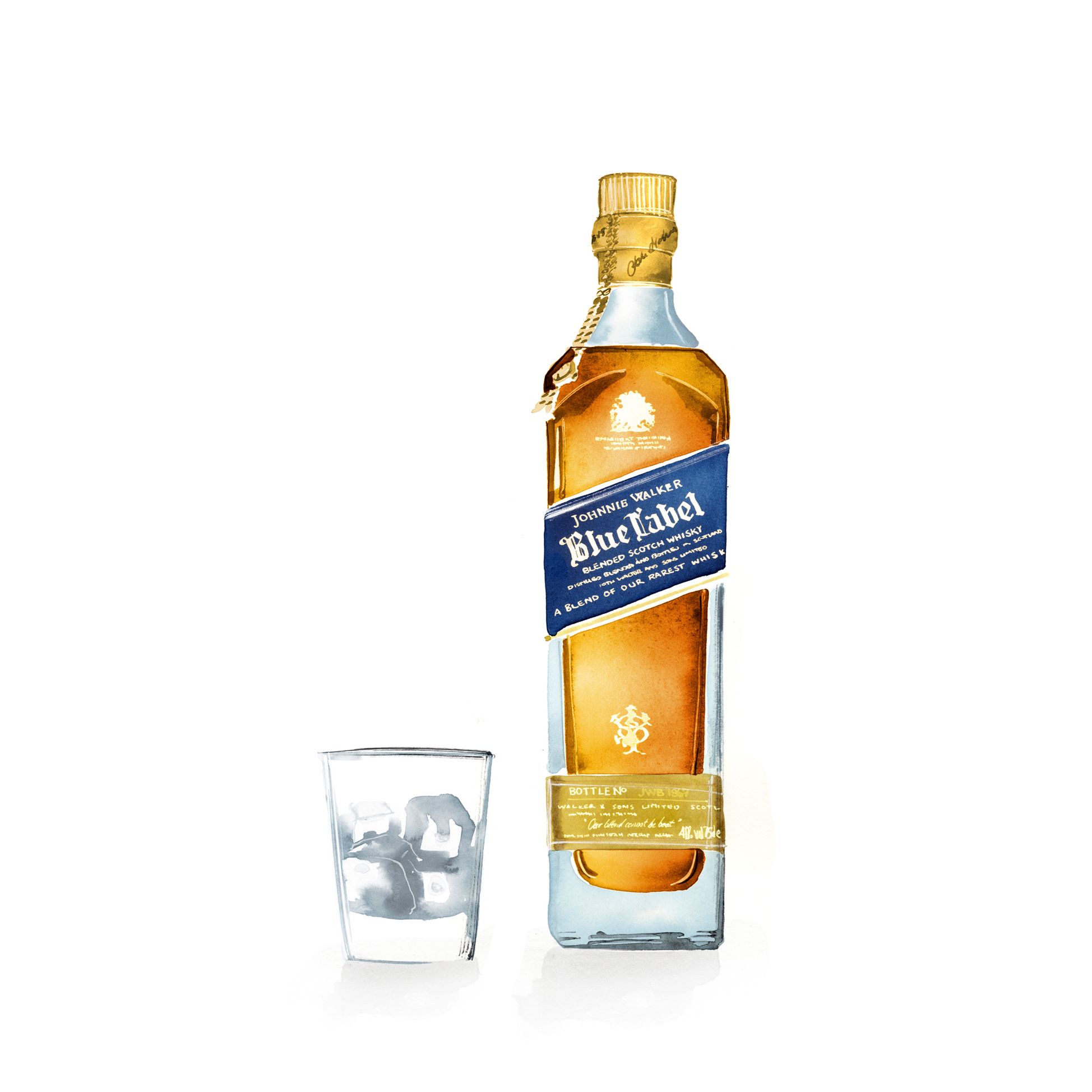 James Haskell's favourite things illustrations