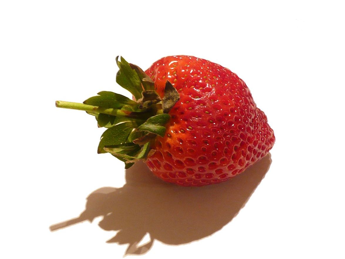 Camarosa Strawberry Care: How To Grow A Camarosa Strawberry Plant