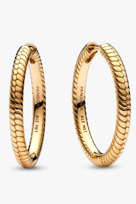 Pandora Moments Charm Hoop Earrings